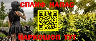 spice Кандалакша