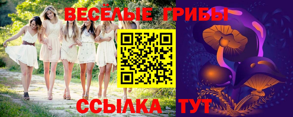 Псилоцибиновые грибы MAGIC MUSHROOMS  Вход с VPN  Кувандык 